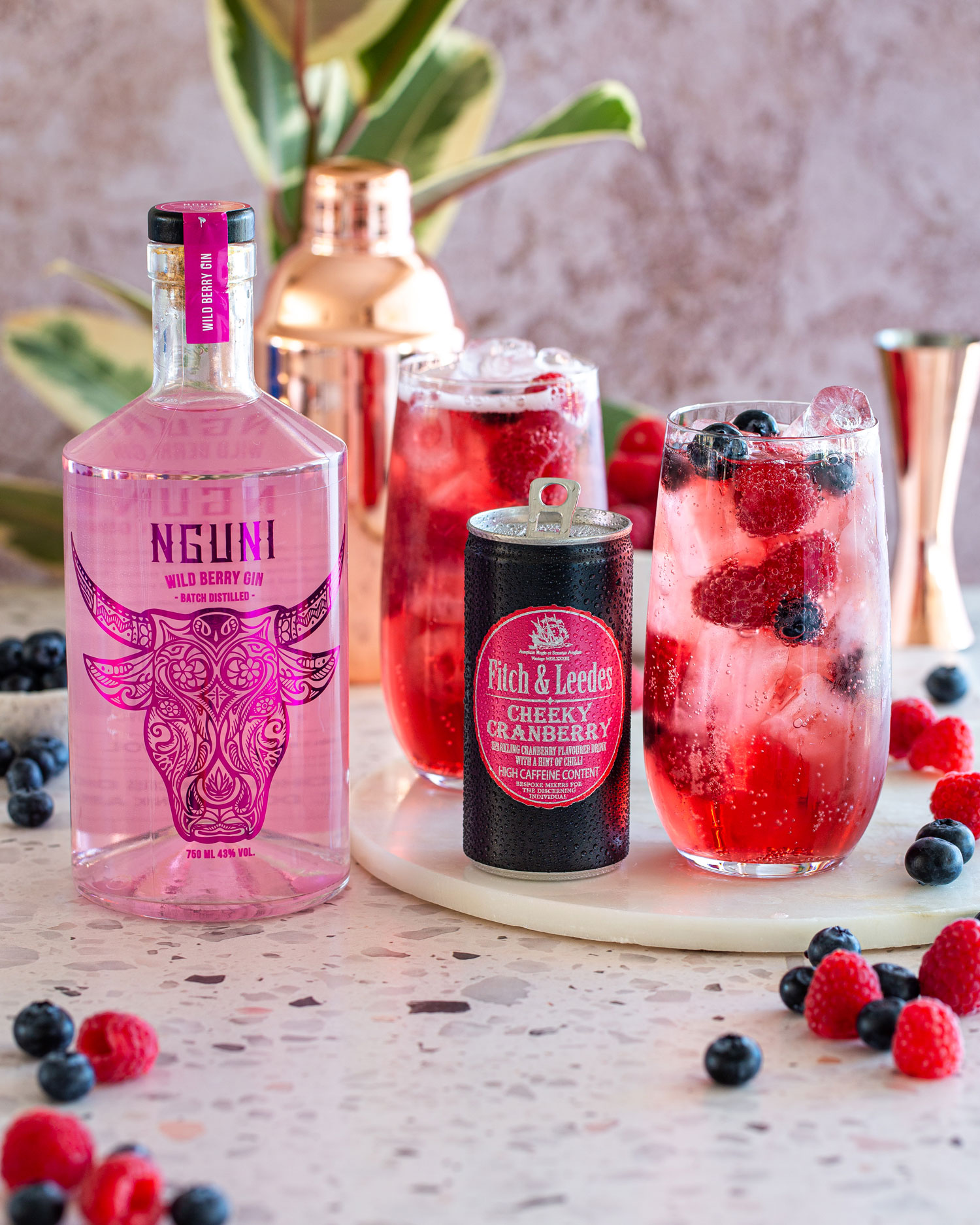 Cheeky Rascal Gin Nguni Gin x Cheeky Cranberry - Fitch & Leedes UK